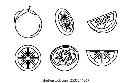 orangefarbene Frucht, Umrissvektor, einzeln auf weißem Hintergrund