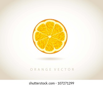 orange fruit over brown background. vector illustration