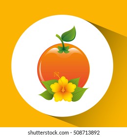 orange fruit palm leaf design vector illustration eps 10