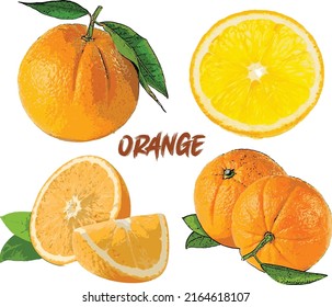 Orange Fruit with pieces collection