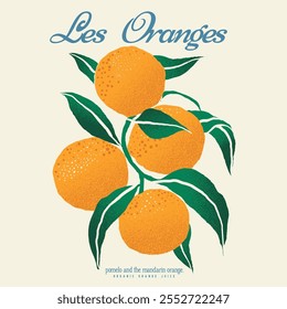 Naranja. Estampado de frutas naranjas. diseño de frutas de verano. diseño de camiseta vintage. ilustraciones de frutas. color retro. efectos grunge. moda de alimentos. niñas. camiseta de niños. comida tropical. vitamina C saludable. camiseta gráfica