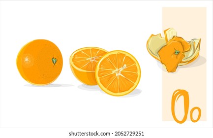 Orange fruit. Realistic illustration of tropical fruits. Exotic fruit in vector. Oranges, sliced, half and peels. Juicy art
