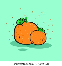 Orange fruit . ripe orange fruit. Vector illustration