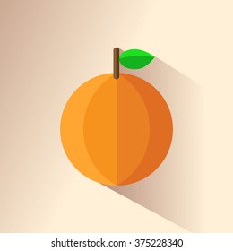 Orange fruit . ripe orange fruit. Vector illustration