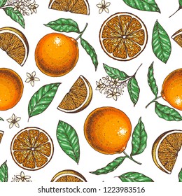 Orange fruit seamless pattern. Fresh citrus background. Hand drawn vector illustration. Organic food, citrus design template. Colored illustration.