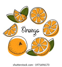 Orange fruit set. Abstract orange whole, in section, half and slices. A stylish and juicy collection of citrus fruit with leaves. Elements isolated on a white background. Doodle, contour, line. Vector