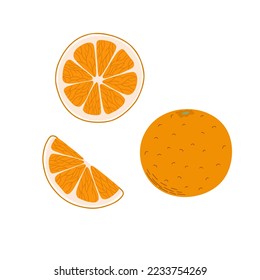 Orange fruit set cartoon flat style vector illustration food collection, hand drawn elements of organic food, slices and entire citrus, healthy vitamin exotic fruit, holiday time fresh dessert