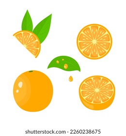 Orangenfruchtset. Flacher Stil. Vektorgrafik