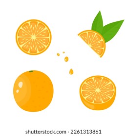 Conjunto de frutas naranjas. Estilo plano. Ilustración del vector