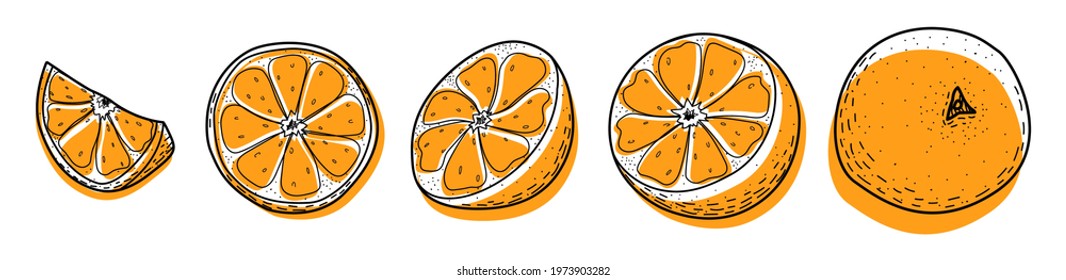 Orange fruit set. Stylish set of abstract oranges: whole, half, slice. Objects for design, printing, and logos are isolated on a white background. Black outline, orange shapes, doodle, line. Vector.