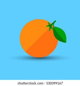 Orange fruit with shadow on blue background vector illustration 