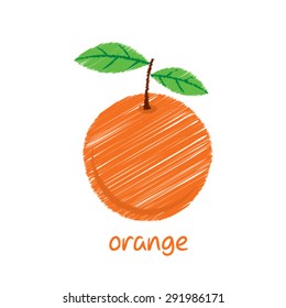 orange fruit, sketch design vector
