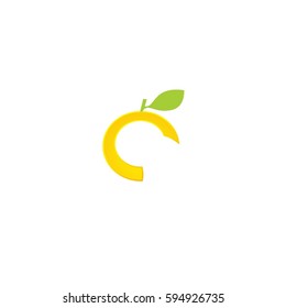 Orange fruit slice