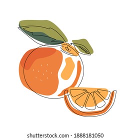 Orange fruit and a slice in continuous line art drawing style. Vector illustration. Summer food illustration