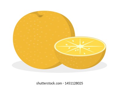 Orange fruit. Slice of fresh juicy food full of vitamin. Healthy nutrition. Isolated vector illustration in cartoon style