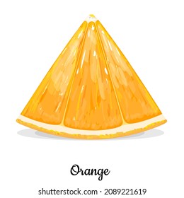 Orange fruit slice isolated on white background. Vegetarian, organic food. Vector Illustration. 