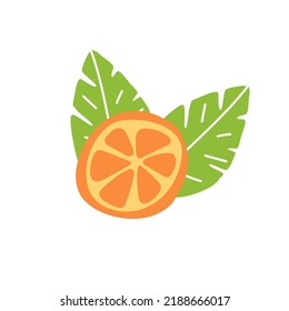 Frutos naranjas, rodajas y hojas. Ilustración vectorial dibujada a mano con doodle aislada en fondo blanco. Icono dibujado a mano