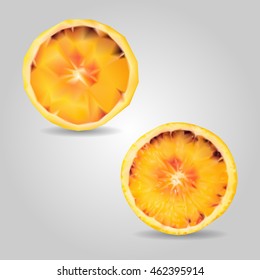 Orange fruit slice low and high resolution triangle mesh realistic vector eps10