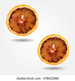Orange fruit slice low and high resolution triangle mesh realistic vector eps10