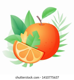 Orange fruit and orange slice over tropical leaves background. Summer vector design concept.