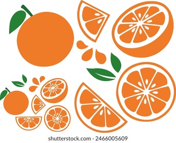 Orange Fruit Slice Set of Vector