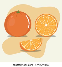 Orange fruit and slice of orange vector illustration