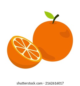 Orange fruit with orange slice vector illustration in flat design. Illustration of summer food concept isolated on a white background.