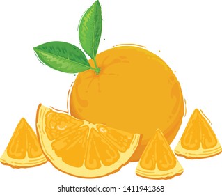 Orange Fruit Sliced Pack Vector