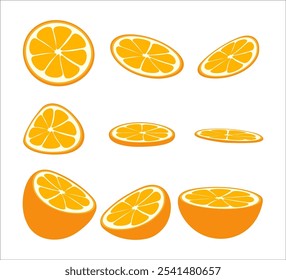 orange fruit slices set vector illustration