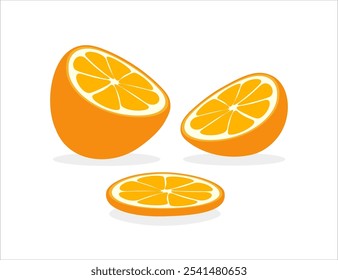 orange fruit slices vector illustration