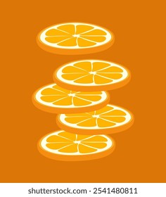 orange fruit slices vector illustration