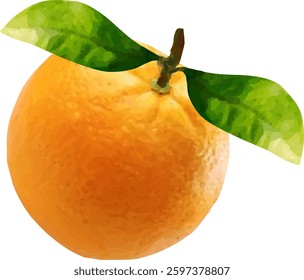 orange fruit stalk and leaf5