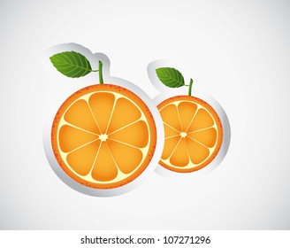 orange fruit stickers over gray background. vector illustration