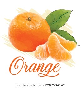 Orange Fruit Stock Illustrations, Vectors  Clipart EPS