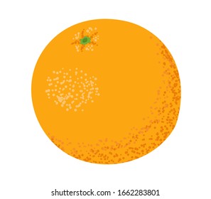 Orange fruit with a textured rind. Isolated on a white background. Vector illustration.