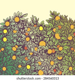 Orange fruit tree form - vector illustration
