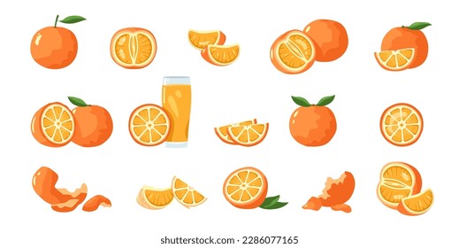 Orange fruit. Tropical tangerine and clementine slices, healthy whole mandarin and tangerine pieces and skin cartoon flat collection. Vector isolated set of tangerine fruit clementine illustration