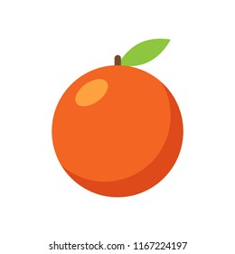 Orange fruit vector