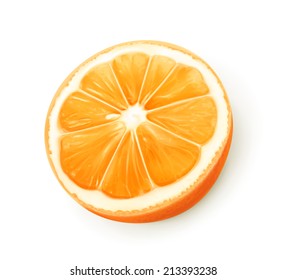 Orange fruit, vector