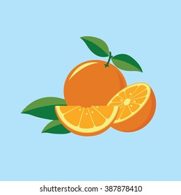 Orange fruit vector