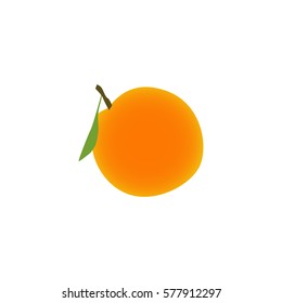 orange fruit vector