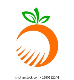 Orange fruit vector cartoon