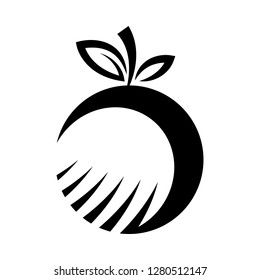 Orange fruit vector cartoon