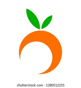 Orange fruit vector cartoon