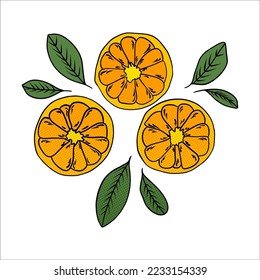 Orange Fruit Vector Clip Art