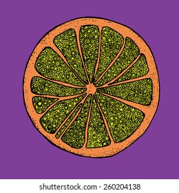 Orange fruit. vector color vector illustration
