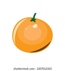 Orange Fruit Vector Design icon