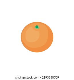 orange fruit vector, food vector illustration.