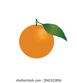 orange fruit vector with green leaf isolated on white  png background 