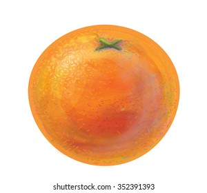 Orange fruit vector  - hand drawn digital painting of fresh ripe citrus, isolated on white. Classical oil painting or watercolor style. Textured fruit orange. Image contain transparency. Eps 10.